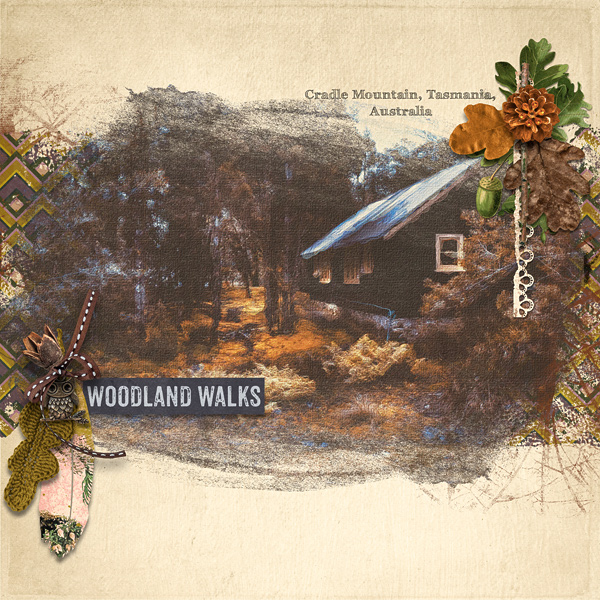 In The Woods