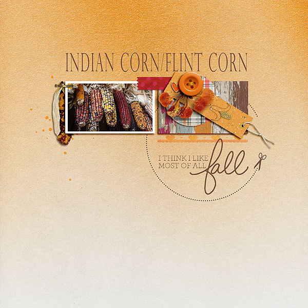 Indian/Flint Corn