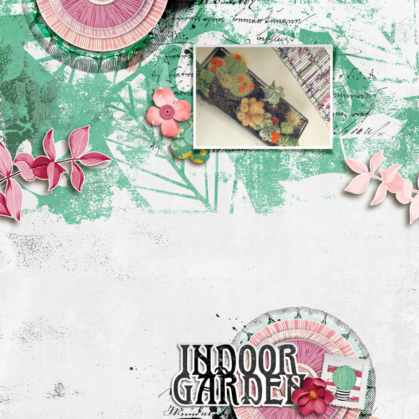 Indoor Garden