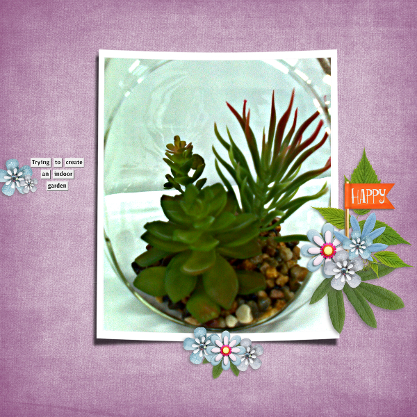 Indoor gardening