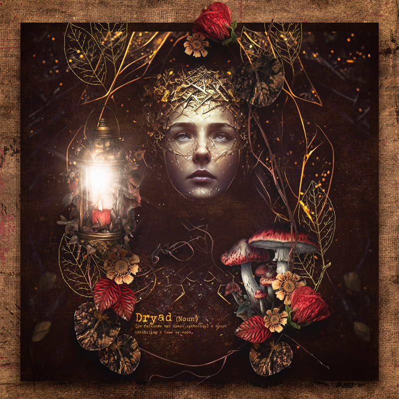 InhabitingRoots
