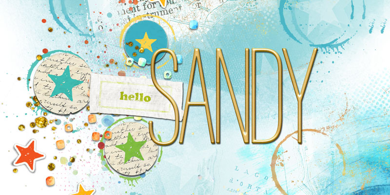 INSD-May-2019-Signature-Sandy