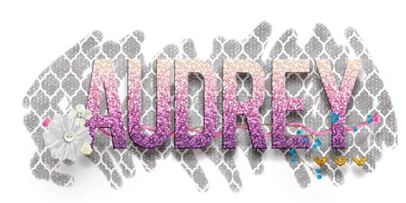 iNSD Signature 2017