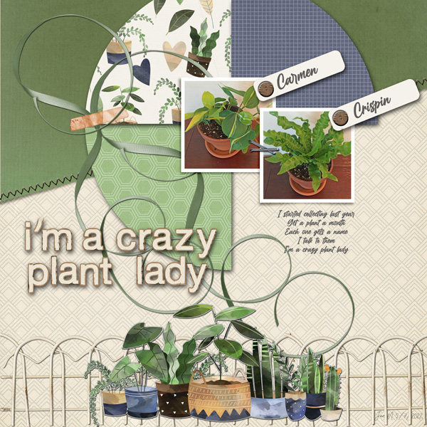 INSD Slow Scrap 5-7_Imacrazyplantlady