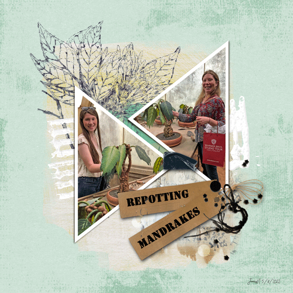 INSD-Slow-Scrap-5-8_repottingmandrakes