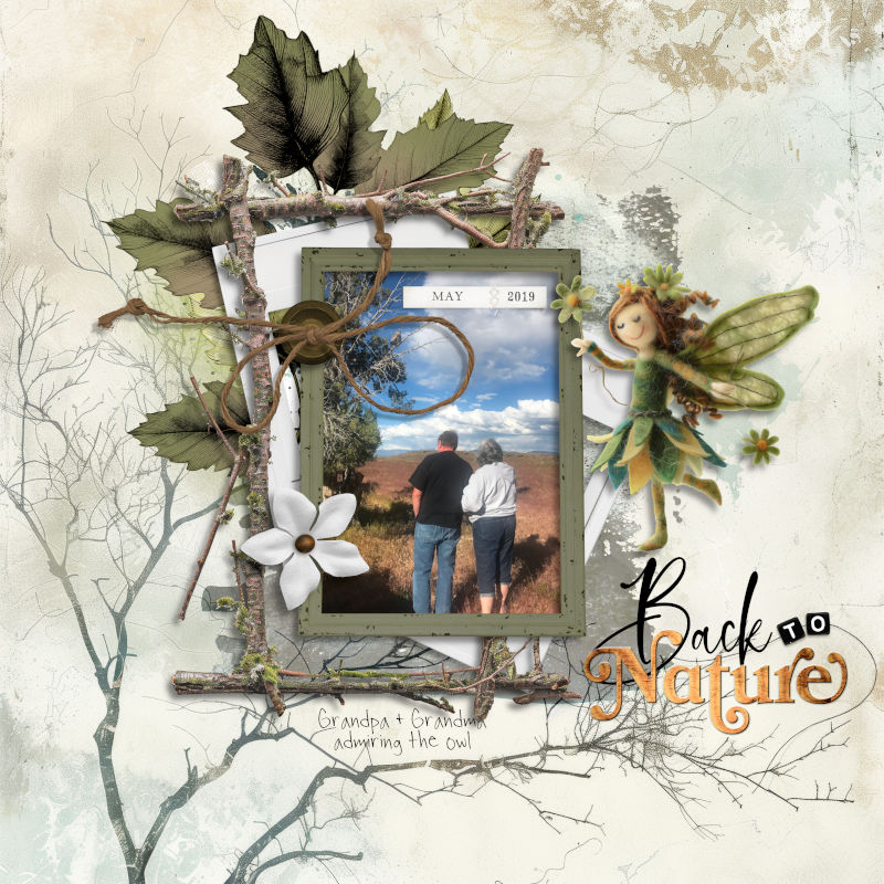 INSD Slow Scrap Friday