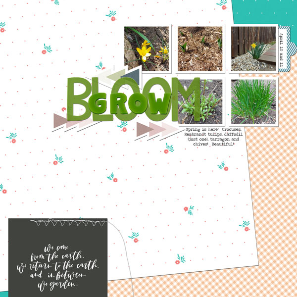 INSD-slow-scrap-May-1-2021
