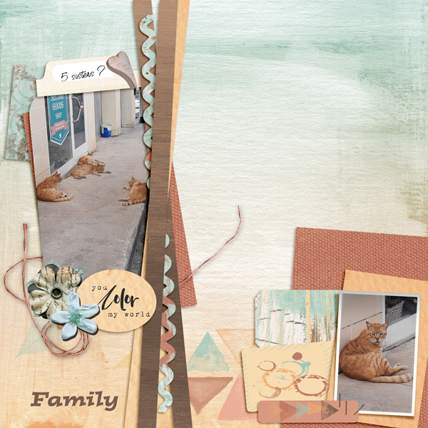 Insd-template-21-Cyn