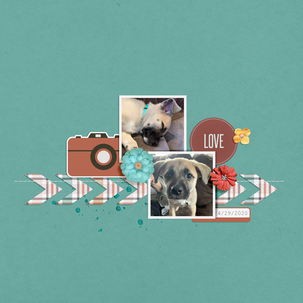 iNSD Template Challenge