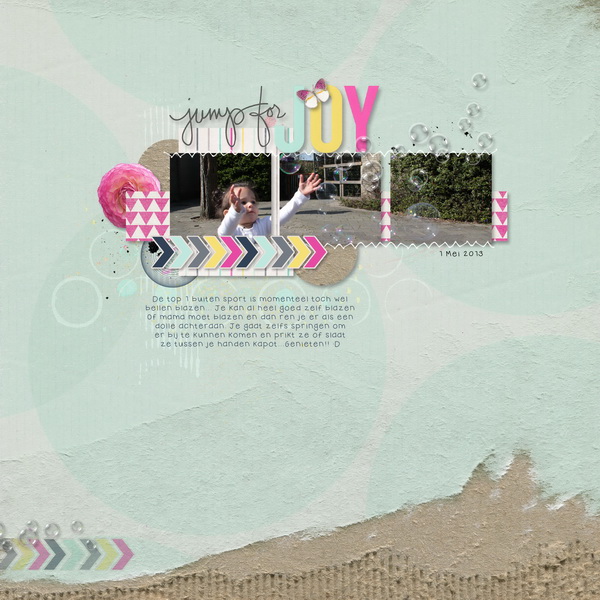 iNSD template challenge