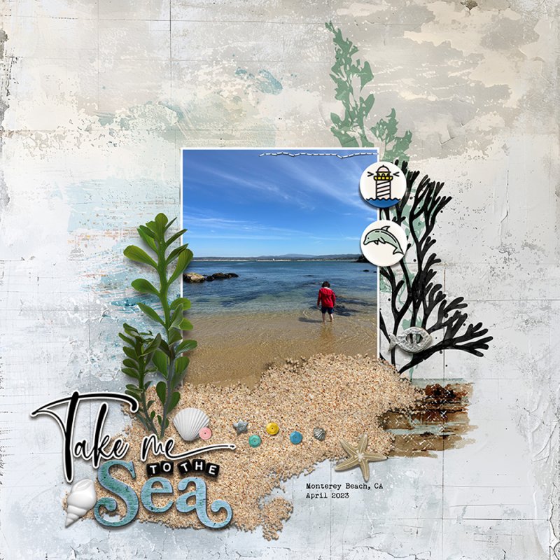 INSD2024BlogHop