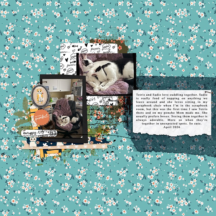 INSD2026-2TEMP-HeyMrHMV27