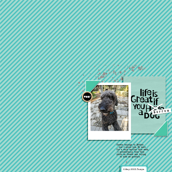 iNSD23_Scraplift_Spcoggs_Borrow a Dog