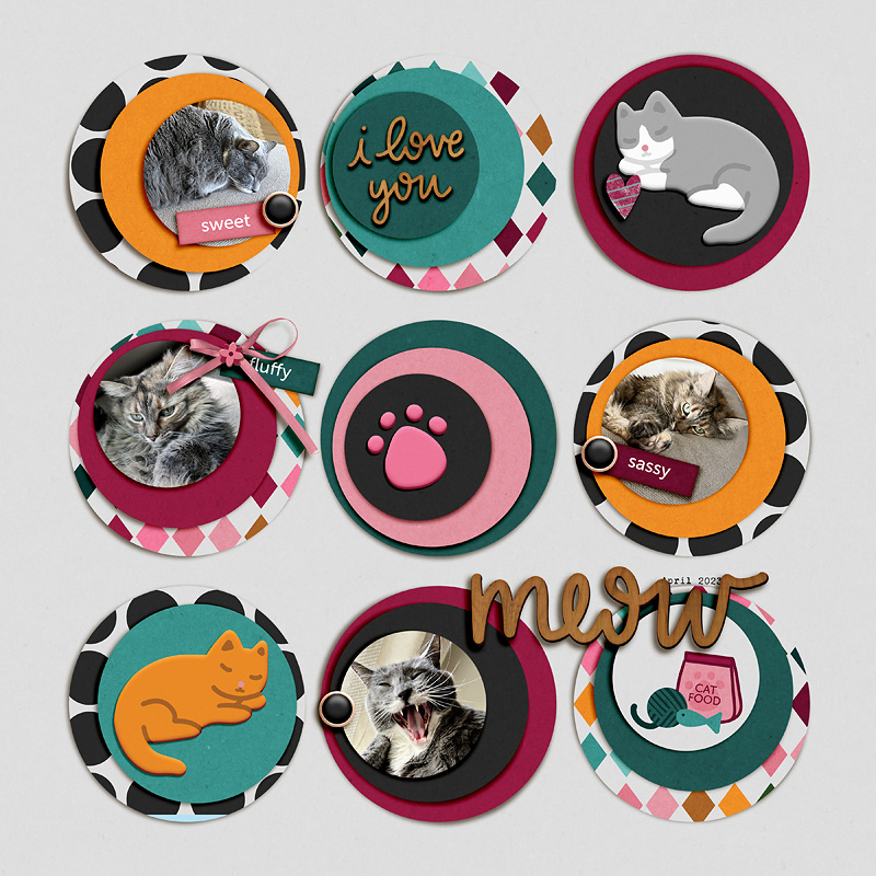 INSD_Meow-800