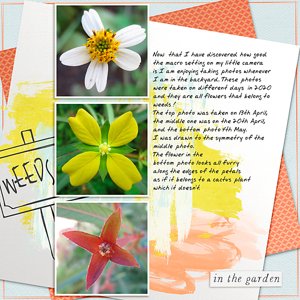 INSD_SlowScrap_Weeds