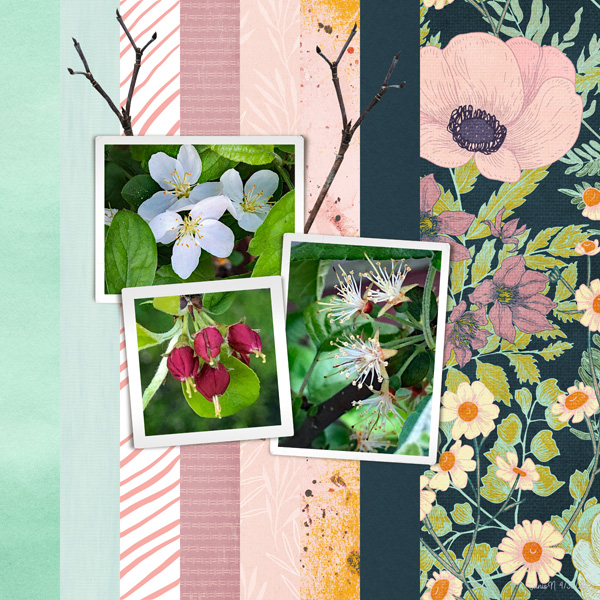 INSDSlowMotionSpeedScrapFri