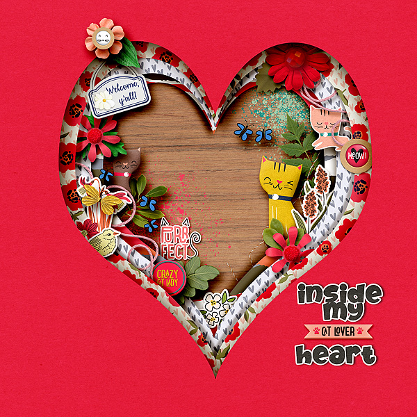 Inside my cat lover heart