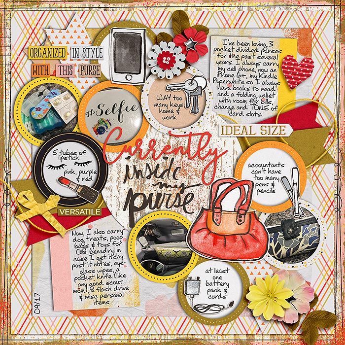 Inside-My-Purse