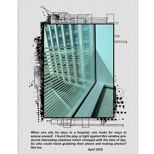 Inspiration-Chall_May2025_flowersgal_sq_web