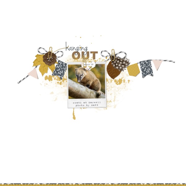 Inspiration Challenge - March 18