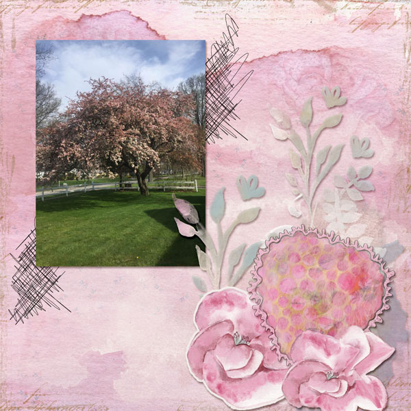 Inspiration-Challenge-May