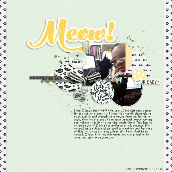 Inspiration Challenge: November 2020 - Meow!