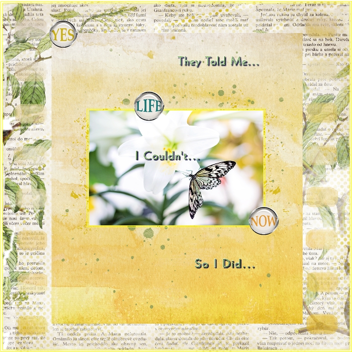 Inspiration Challenge-November-They Told Me I Couldn't So I Did-Metamorphosis