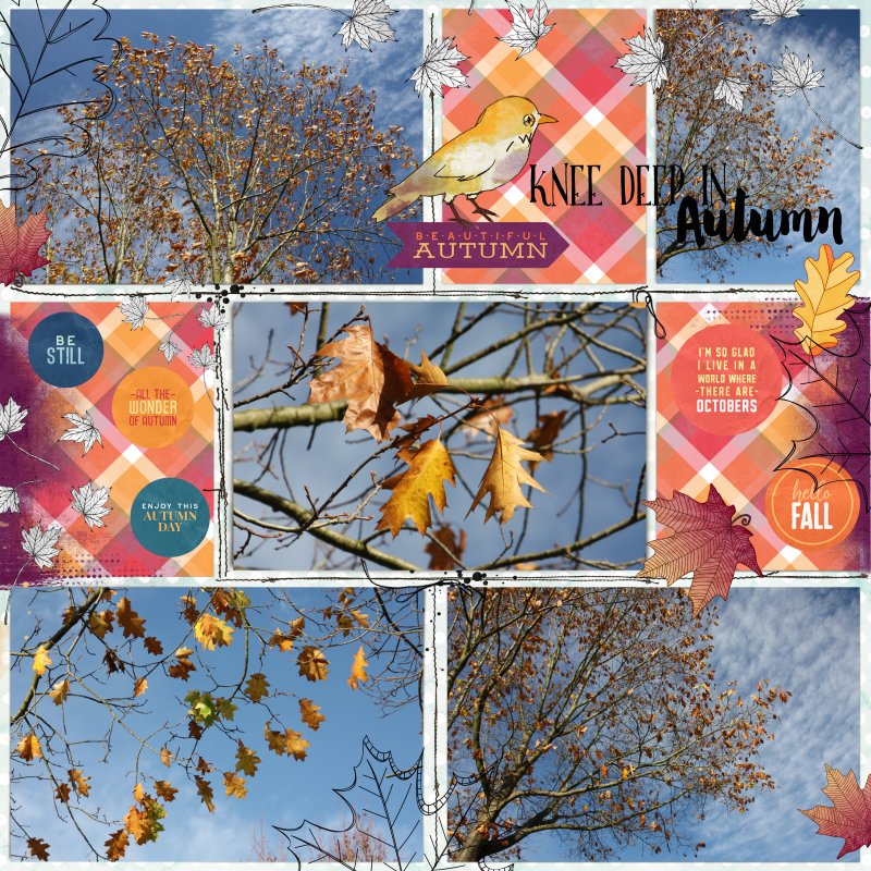 Inspiration Challenge October 2021