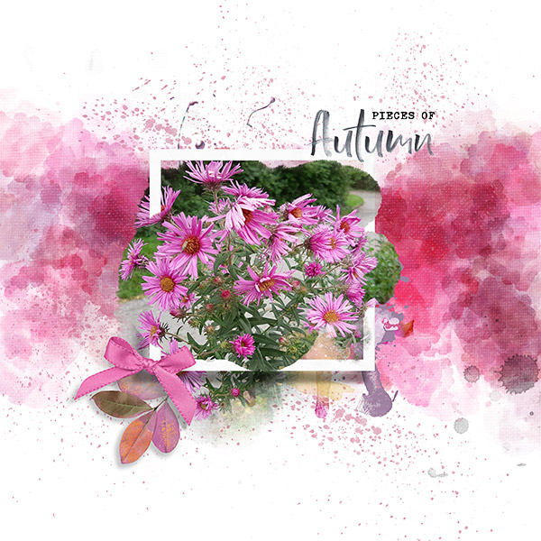 Inspiration Challenge