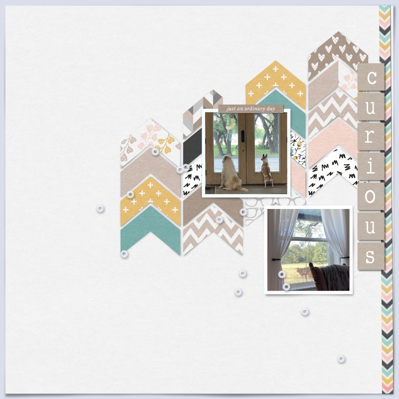 Inspiration Challenge