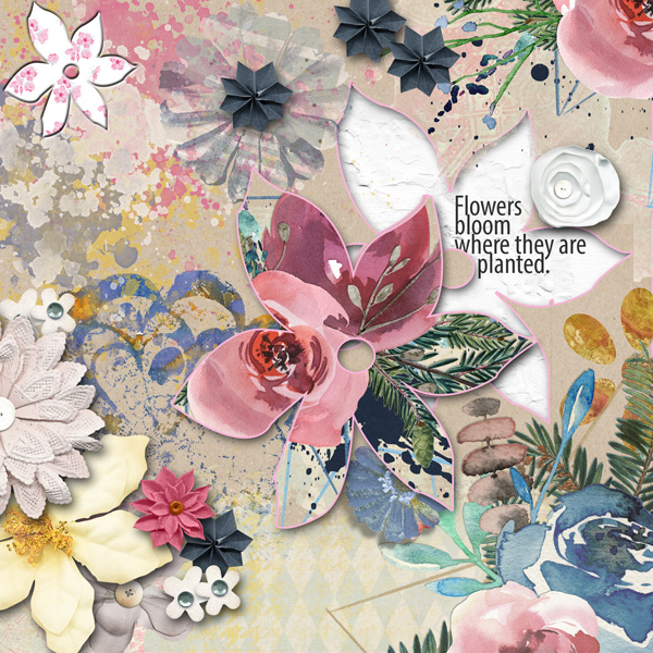 inspiration Flowers-March