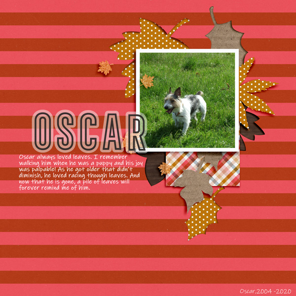 Inspiration: October2020 - Oscar
