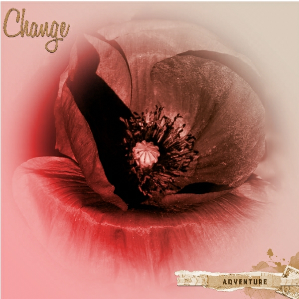 Inspiration Poppy