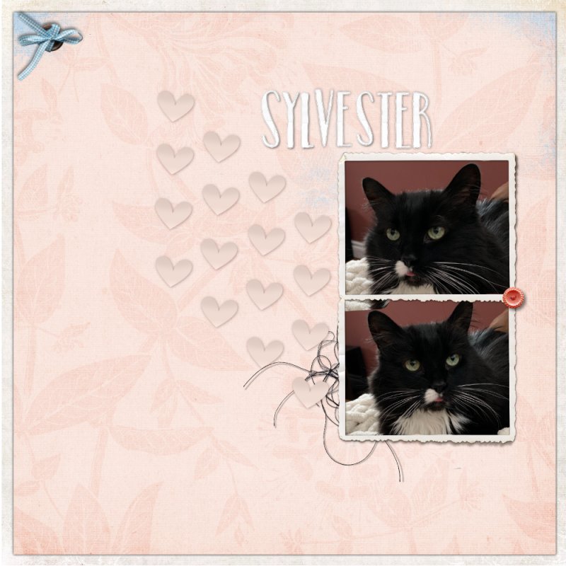 Inspiration - Sylvester