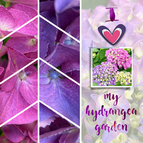 Inspiration_07-20_Chevrons_Love-My-Hydrangea-Garden