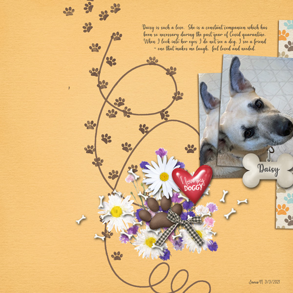 Inspiration_daisy