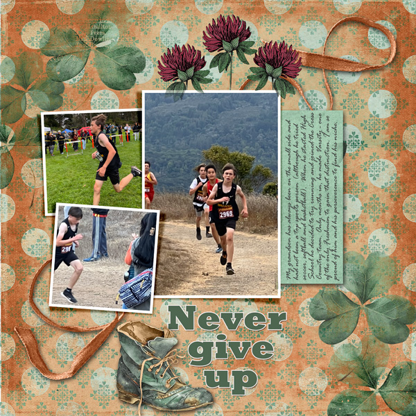 Inspiration_janisn