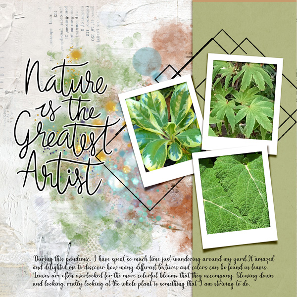 Inspiration_natureisthegreatestartist