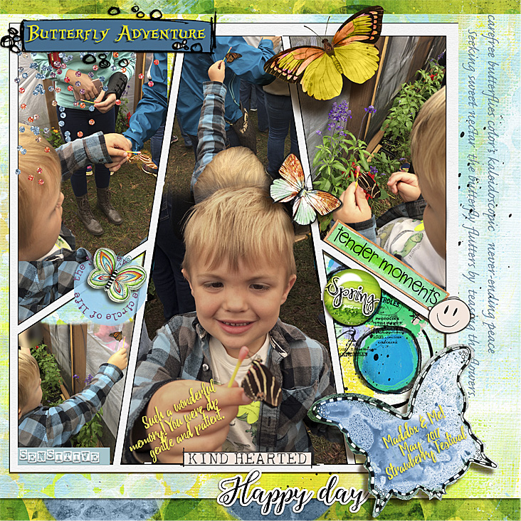 InspirationJune17_ButterflyAdventure