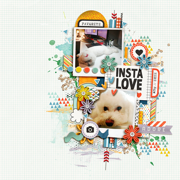 Insta Love