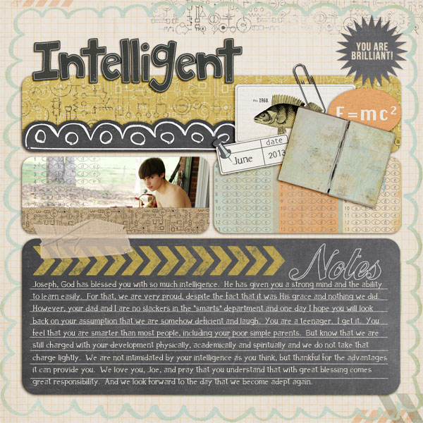 Intelligent