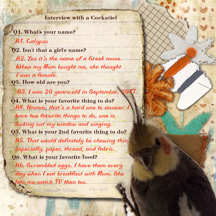 Interview with a Cockatiel