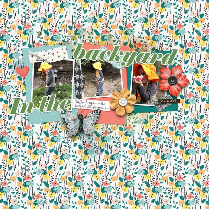 InTheBackYard042019SWLTC
