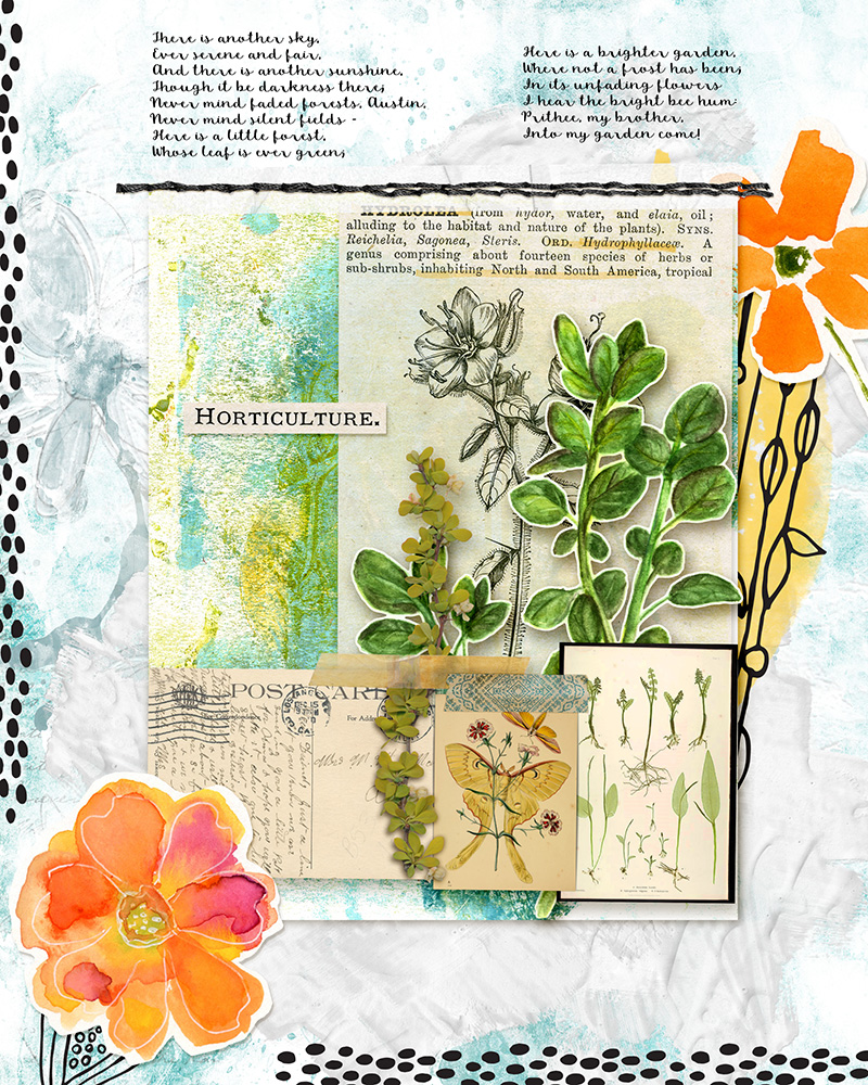 into my garden
