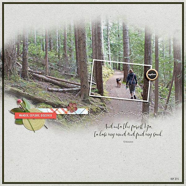 Into the Forest