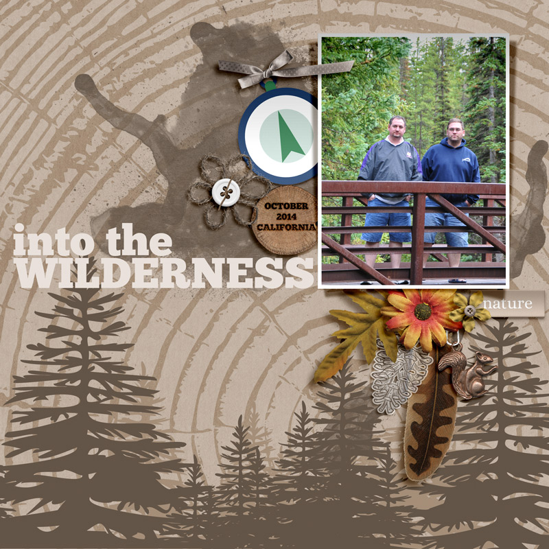 into the wilderness