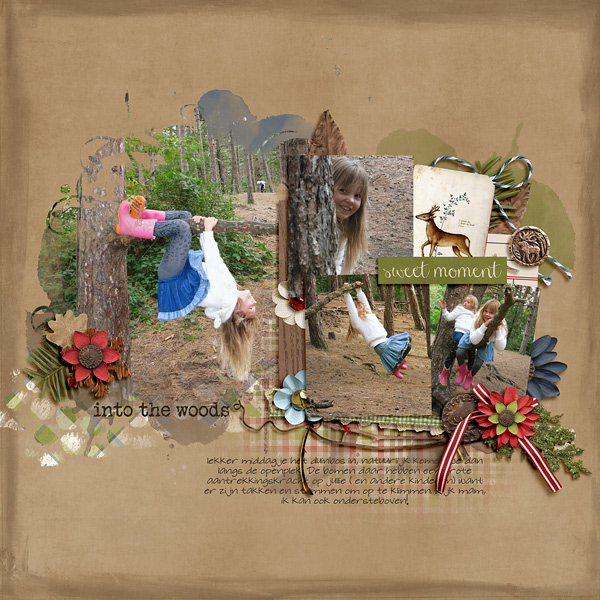 Into the woods