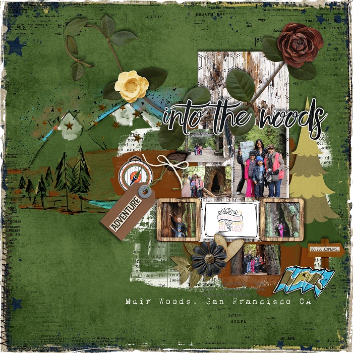 INTO THE WOODS