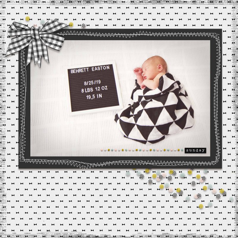 Introduction Page