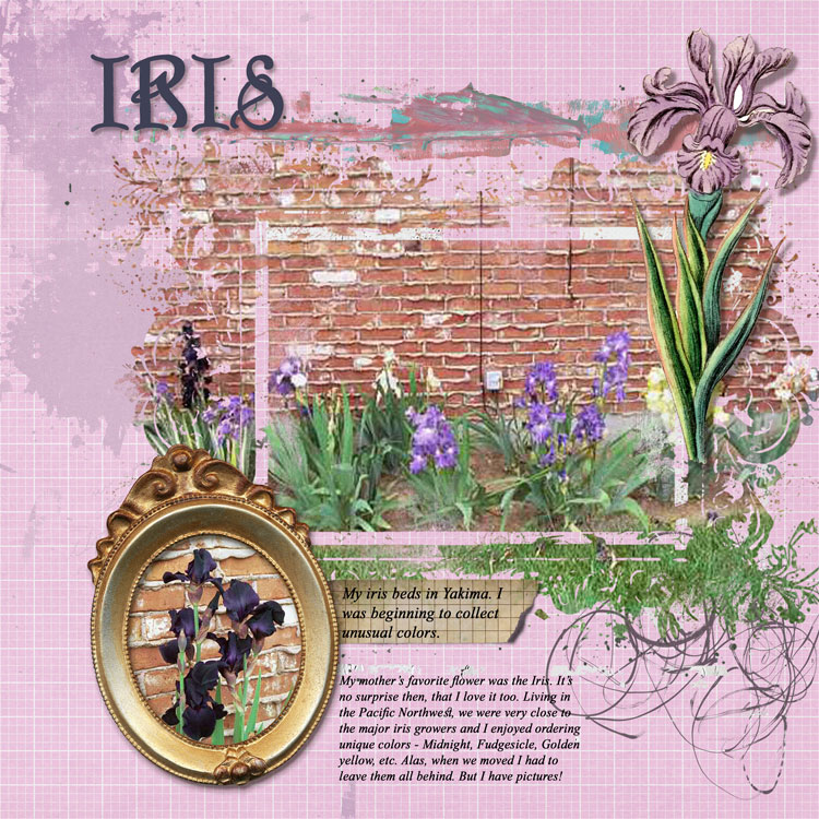 Iris